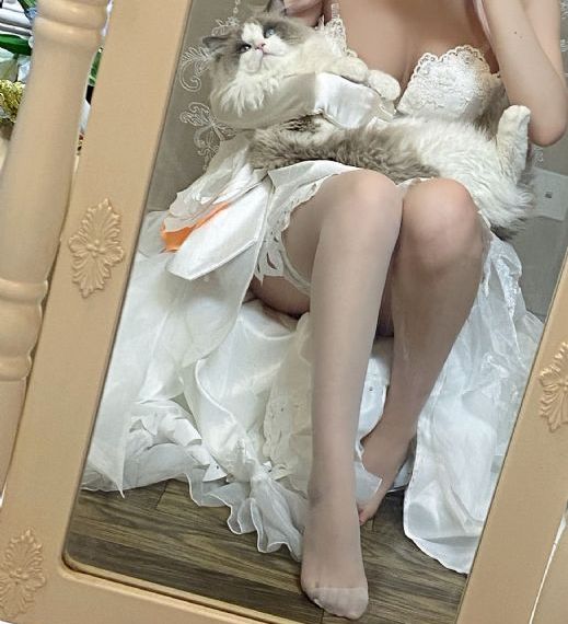 九尾狐传第二季