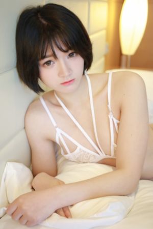 在线观看完美世界全集免费