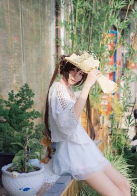 高斯电子公司