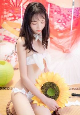 错嫁君全集完整版